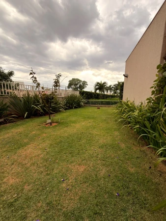 Arvoredo Cerrado Parque