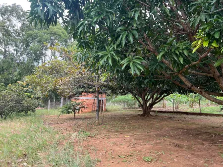 Chácara em Aragoiânia