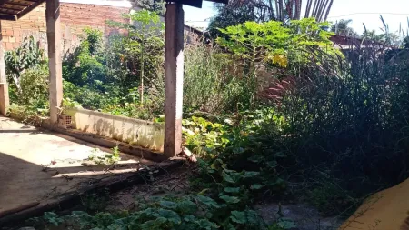 Casa Setor Expansul