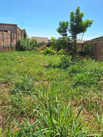 Terreno Residencial Flor do Ipê II