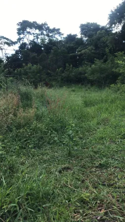 Chácara Parque Maracanã