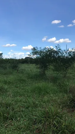 Chácara Parque Maracanã