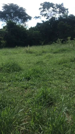 Chácara Parque Maracanã