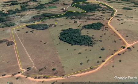Fazenda Bela Vista de Goiás