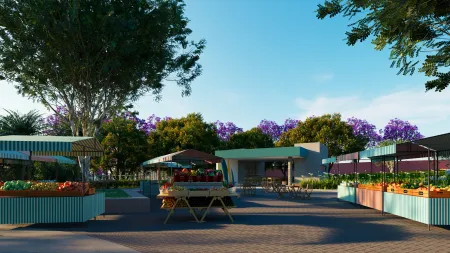 Lote Jardins Miami