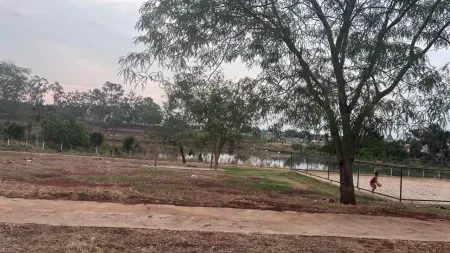 Lote São Bernardo