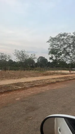 Lote São Bernardo