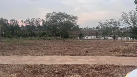 Lote São Bernardo