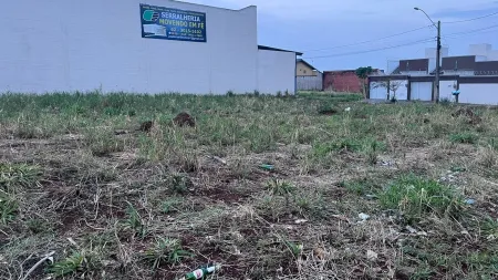 Lote Rio Branco