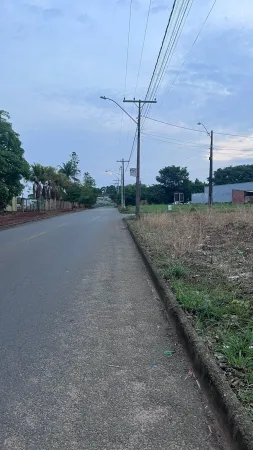 Lote Rio Branco