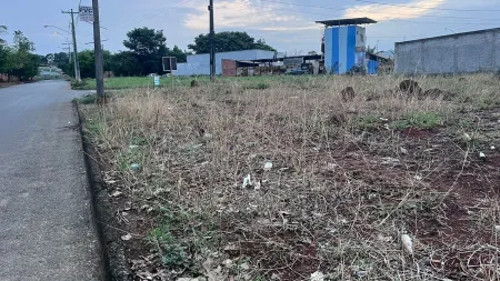Lote Rio Branco