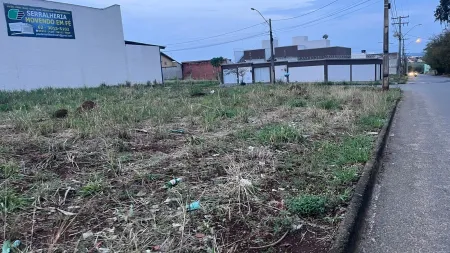 Lote Rio Branco