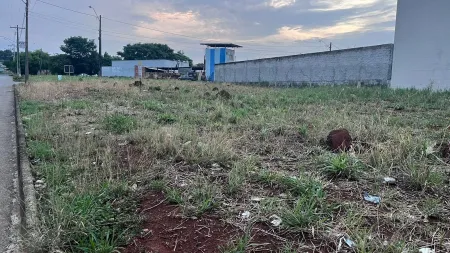 Lote Rio Branco