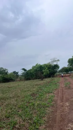 Chácara em Santa Bárbara de Goiás
