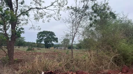 Chácara em Santa Bárbara de Goiás