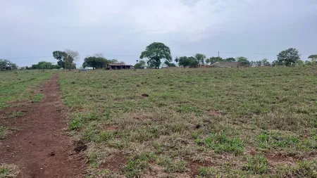 Chácara em Santa Bárbara de Goiás