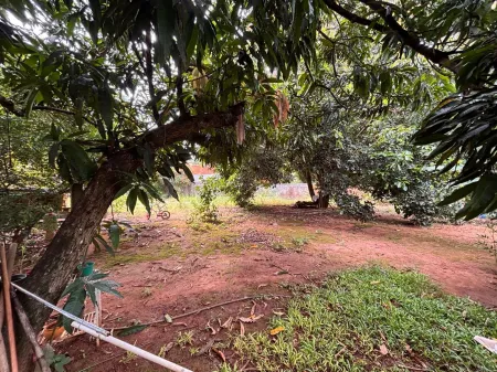 Lote Cidade Vera Cruz