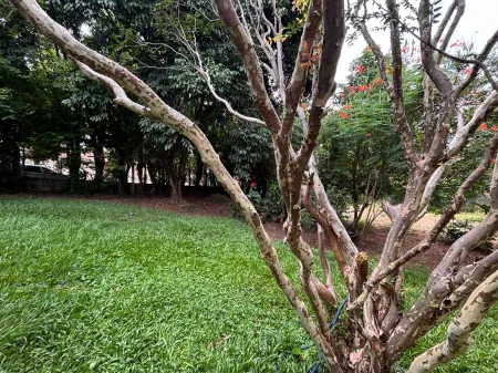 Lote Cidade Vera Cruz