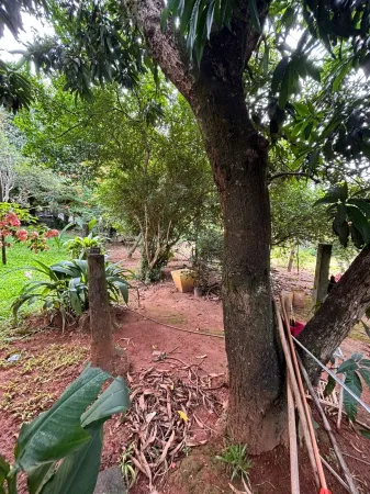 Lote Cidade Vera Cruz