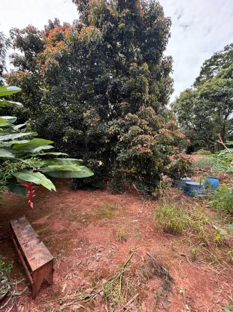 Lote Cidade Vera Cruz