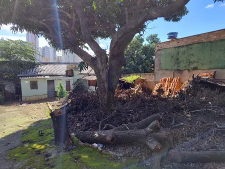 Terreno Setor Pedro Ludovico