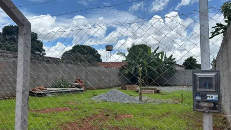 Lote Setor Palmares