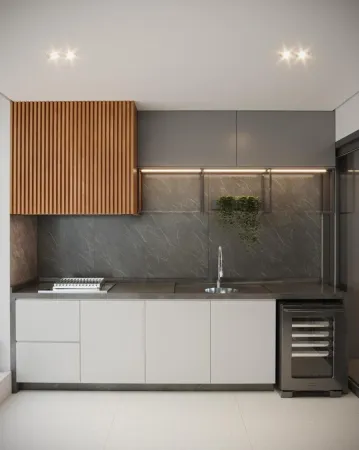 Opus Penthouses