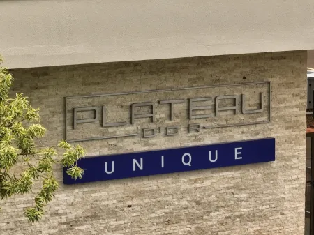 Lote Plateau D' Or Unique