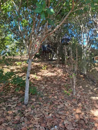 Chácara Bonfinópolis