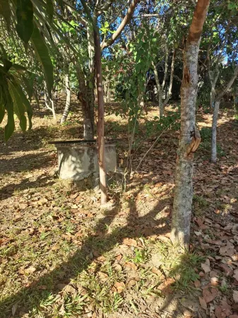 Chácara Bonfinópolis