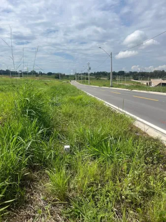 Lote Vinhas Flamboyant