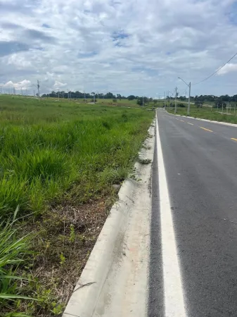 Lote Vinhas Flamboyant