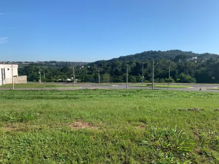 Lote Jardins Porto