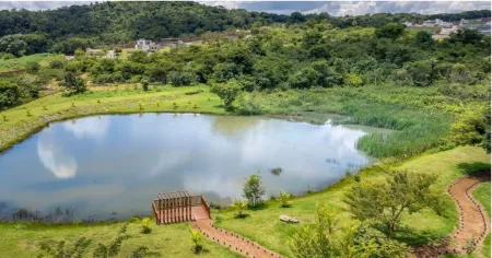 Lote Jardins Porto