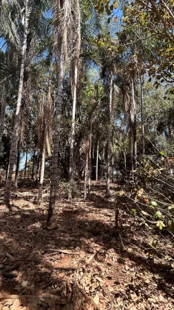 Chácara Uruana