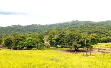 Fazenda Cumari