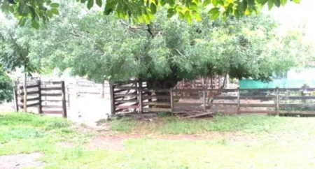 Fazenda Cumari