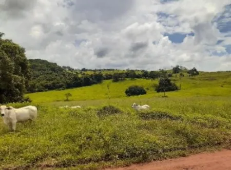 Fazenda Cumari