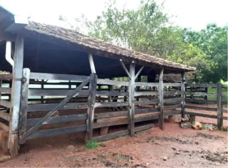 Fazenda Cumari