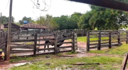 Fazenda Cumari