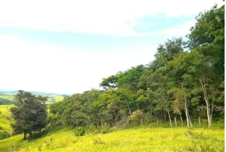 Fazenda Cumari
