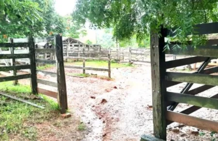 Fazenda Cumari