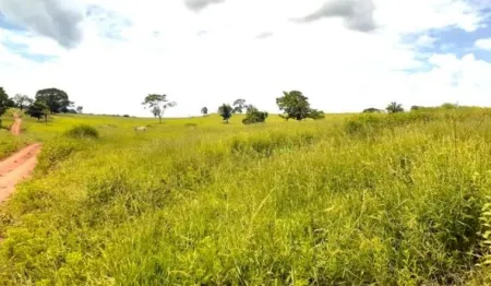 Fazenda Cumari