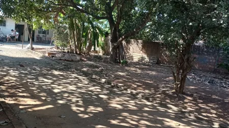 Casa Jardim Novo Mundo