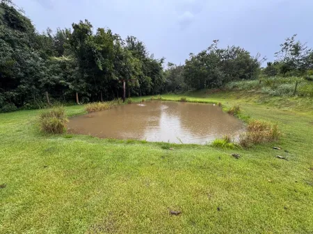 Chácara Bela Vista de Goiás
