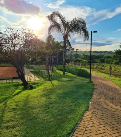 Lote Jardins Barcelona