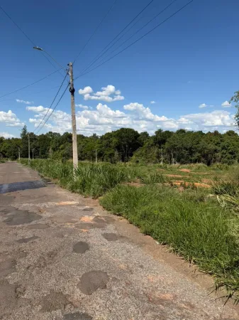 Lote Jaraguá