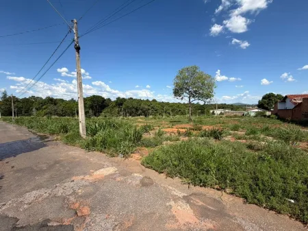 Lote Jaraguá