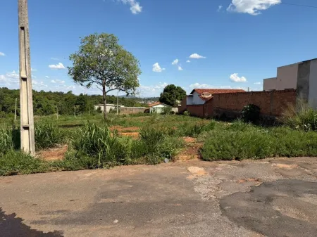 Lote Jaraguá