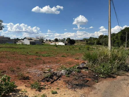 Lote Jaraguá